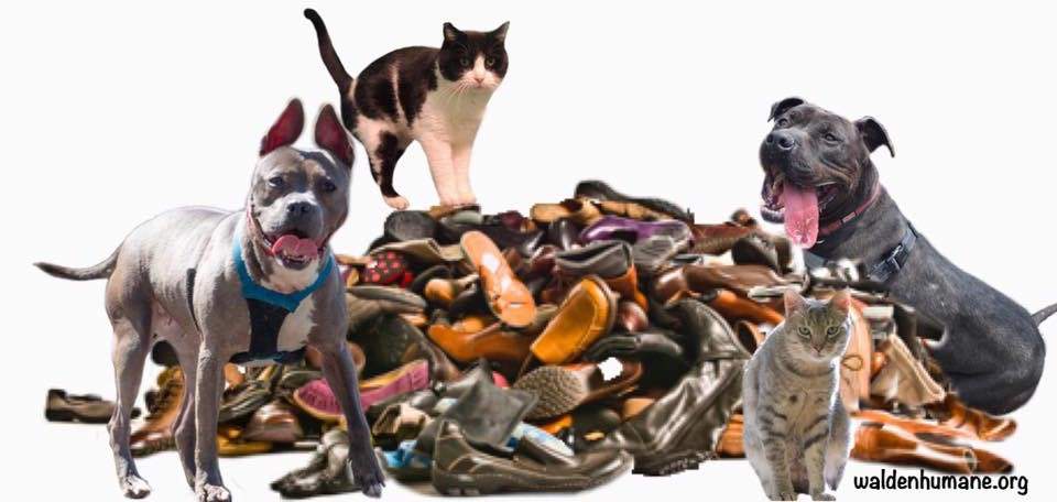We Want Your Used Shoes!