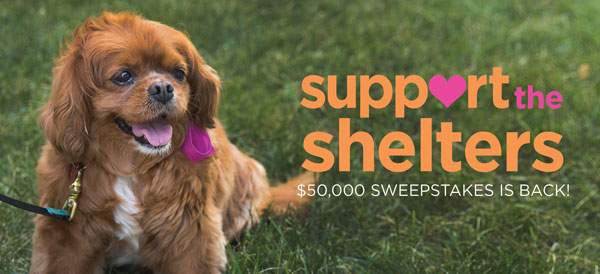 Help Humane Society of Walden win $30,000!