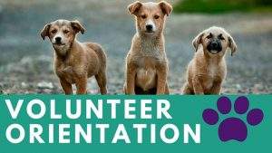 Volunteer Orientation