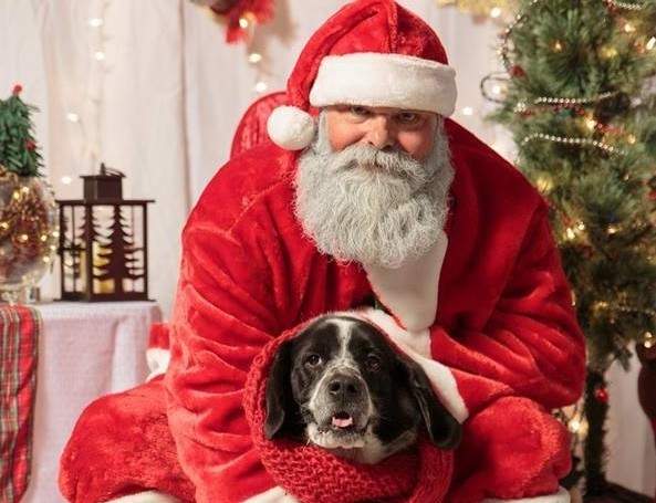 Pet Photos with Santa