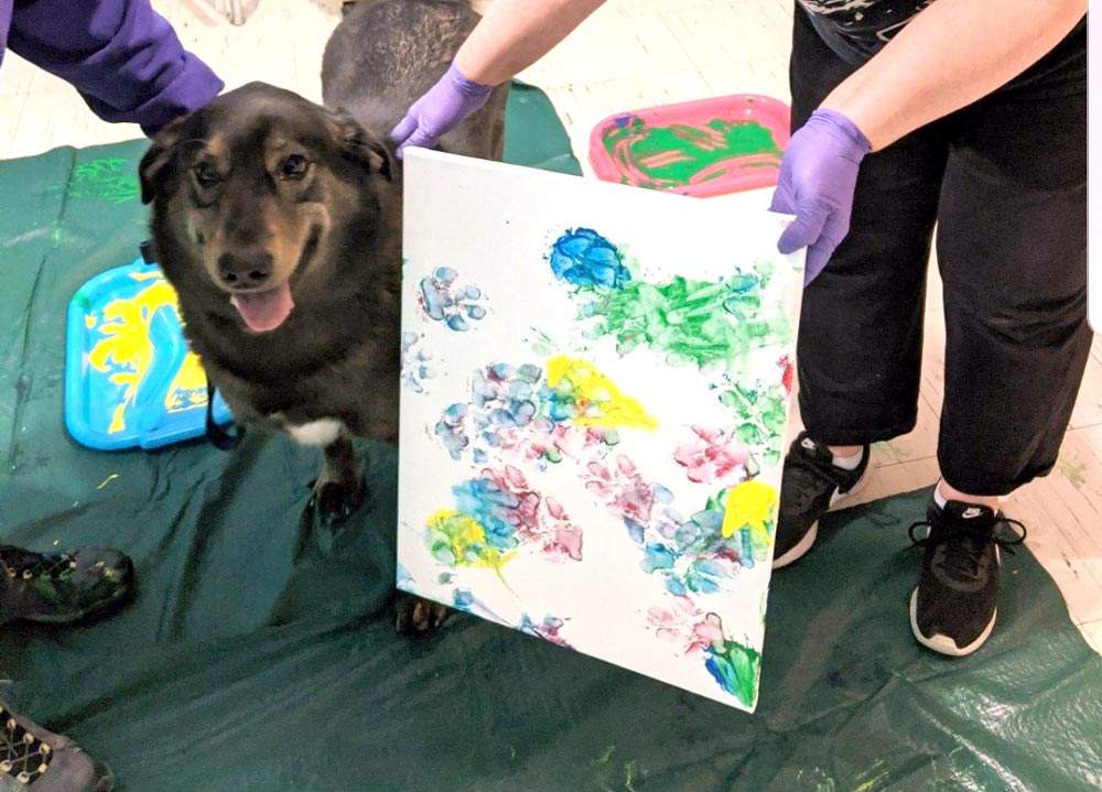 PAWS: An Exhibit of Art….Made by Dogs!!