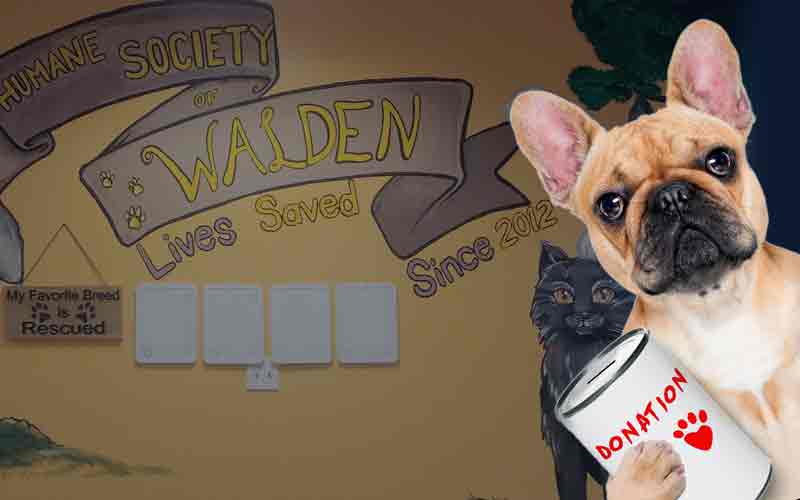 Walden hotsell pet food