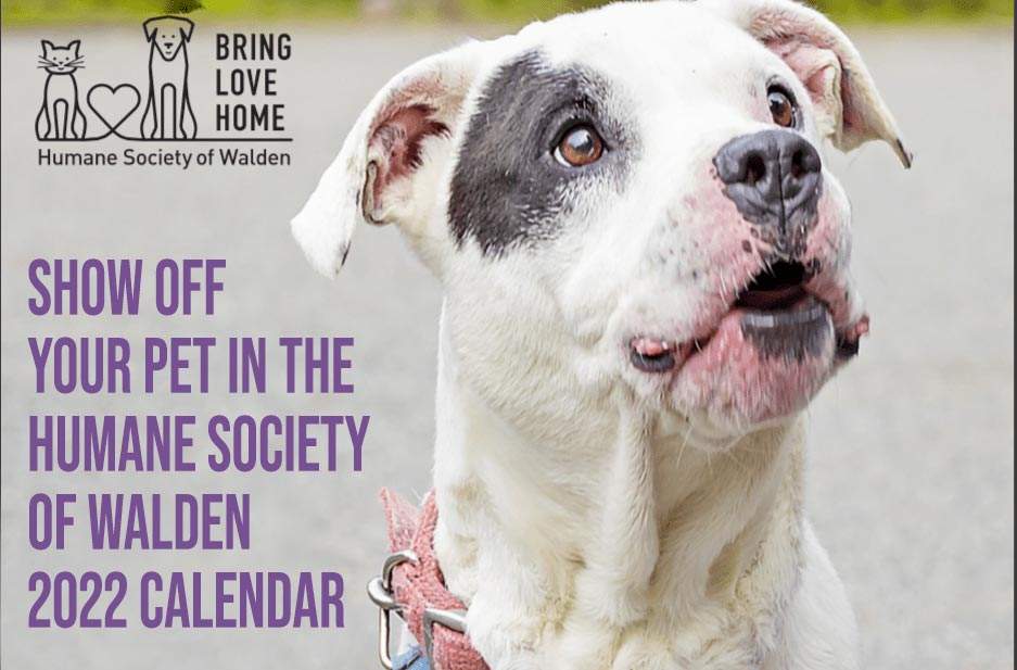 2022 Humane Society of Walden Calendar
