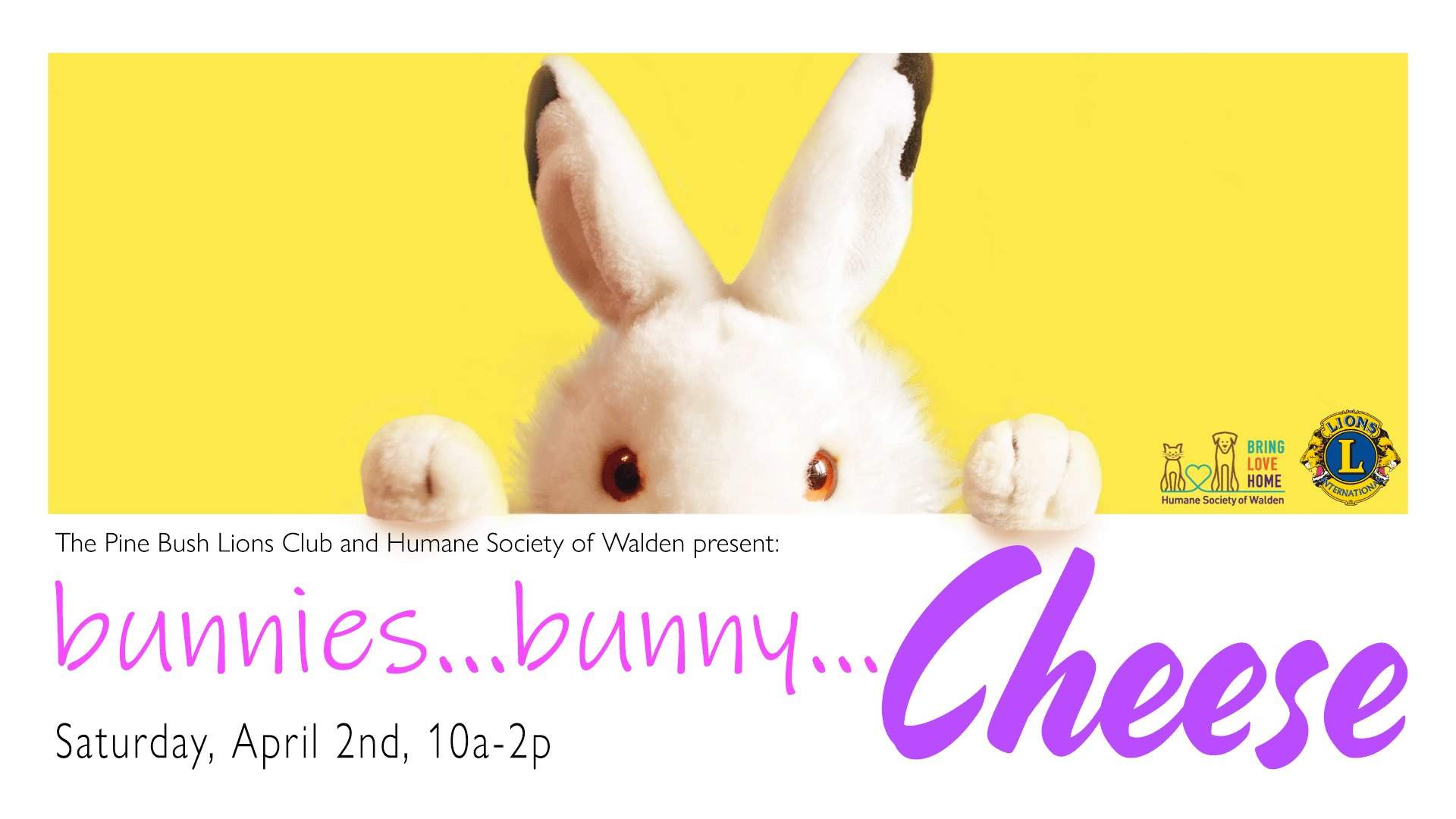 Bunnies…Bunny…Cheese!