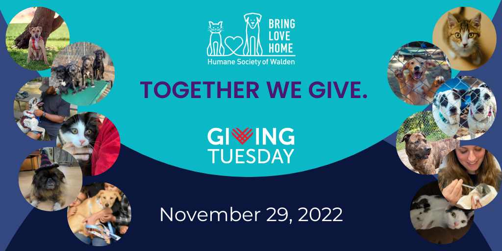 Join the #GIVING TUESDAY Movement