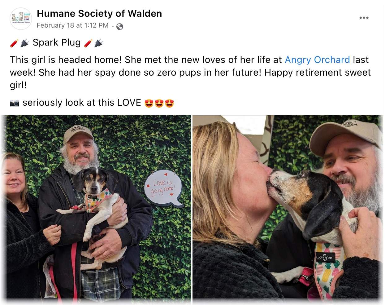 33 Adopters Brought Love Home in February!
