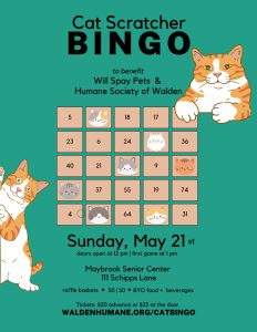 Cat Scratch Bingo @ Maybrook Senior Center