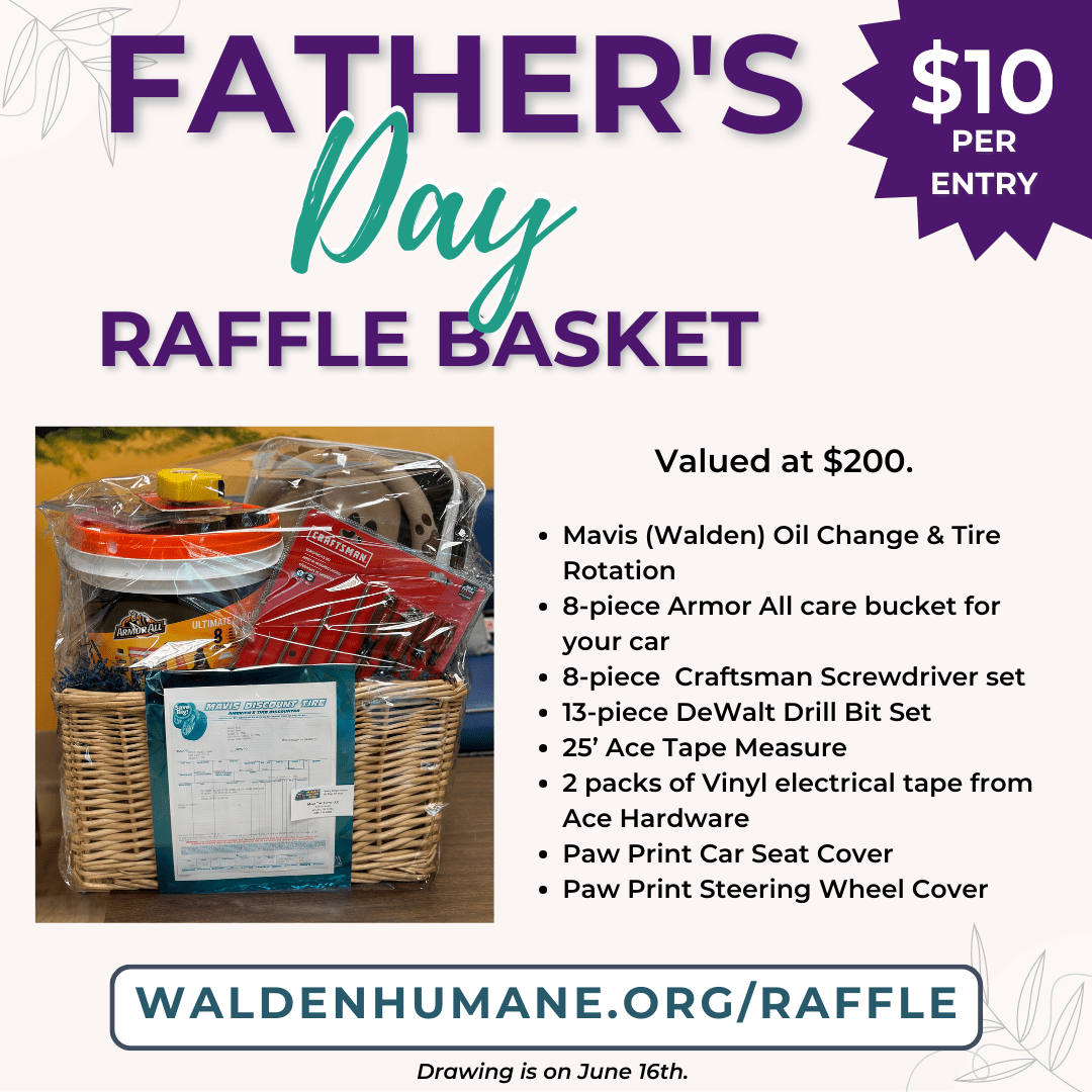 🎉 Father’s Day Raffle Basket!  🐾