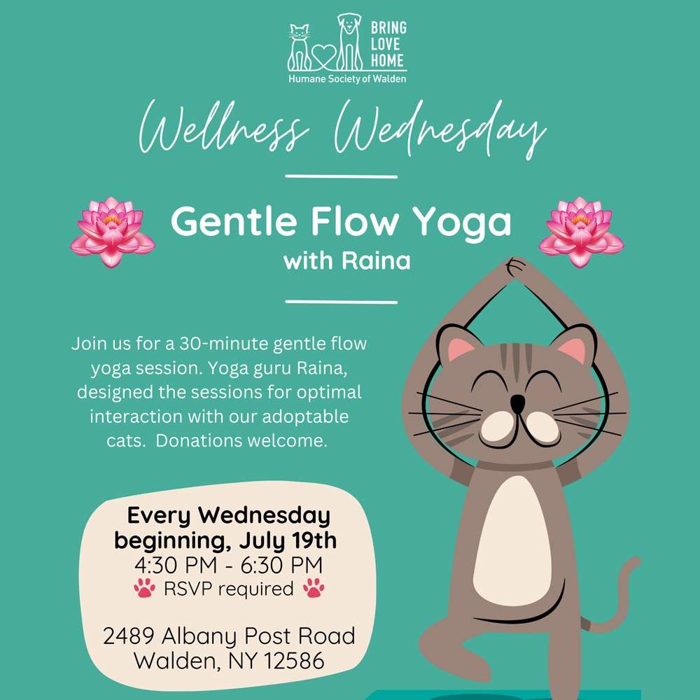 Wellness Wednesday Yoga - Humane Society of Walden