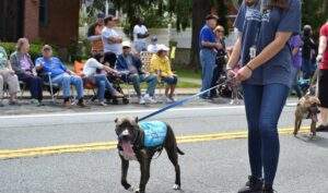 Montgomery Day Parade