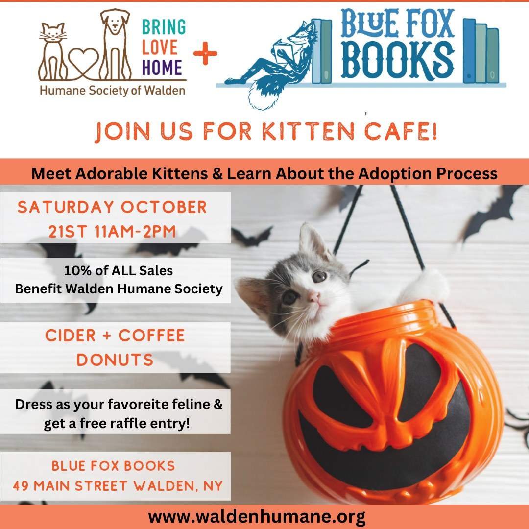 Kitten Cafe Pop-up @ Blue Fox Books