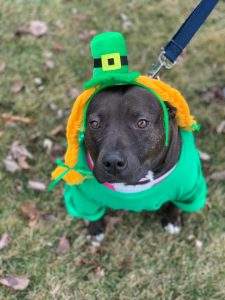 Wallkill Saint Patrick's Day parade