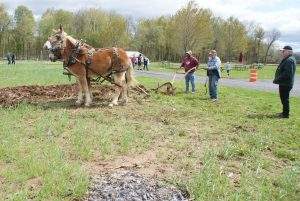 Hudson Valley Draft Horse Assoc, and Hoeffner Farms Spring Plow Day @ Hoeffner Farms