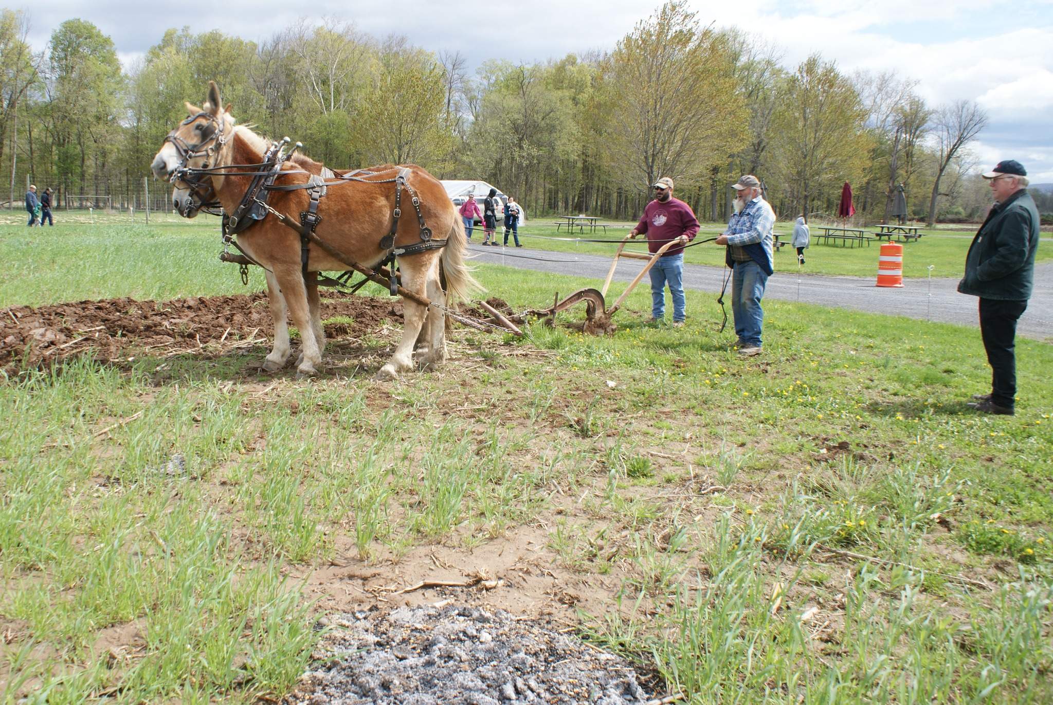 Hudson Valley Draft Horse Assoc, and Hoeffner Farms Spring Plow Day