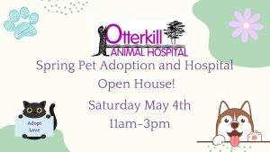Open house and adoption event @ Otterkill Animal Hospital