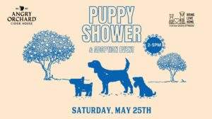 Puppy Shower at Angry Orchard Brewery @ Angry Orchard Brewery