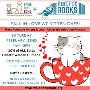 Kitten Cafe Pop-up @ Blue Fox Books @ Blue Fox Books