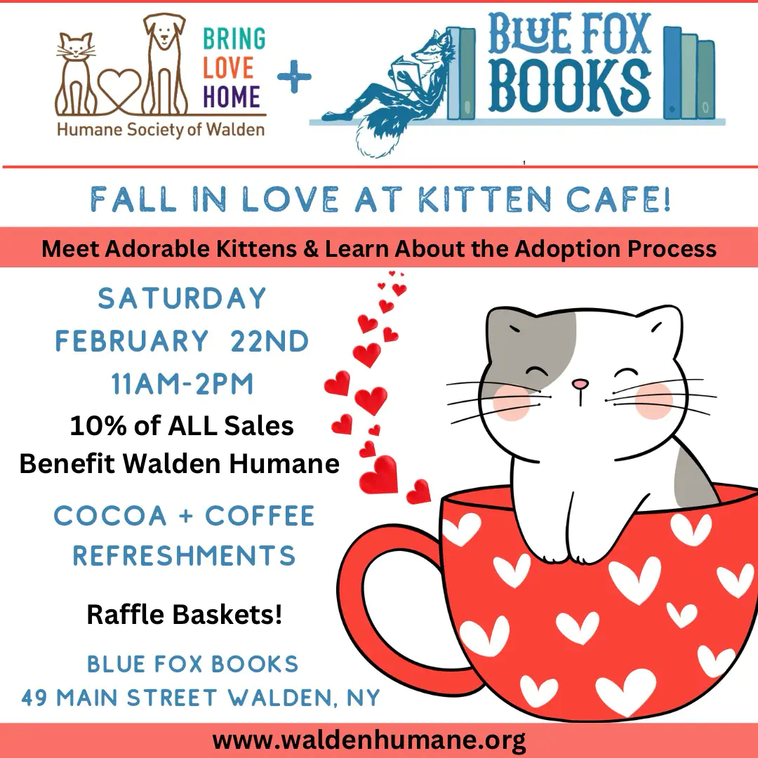 Kitten Cafe Pop-up @ Blue Fox Books