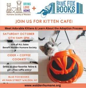 Kitten Cafe Pop-up @ Blue Fox Books @ Blue Fox Books