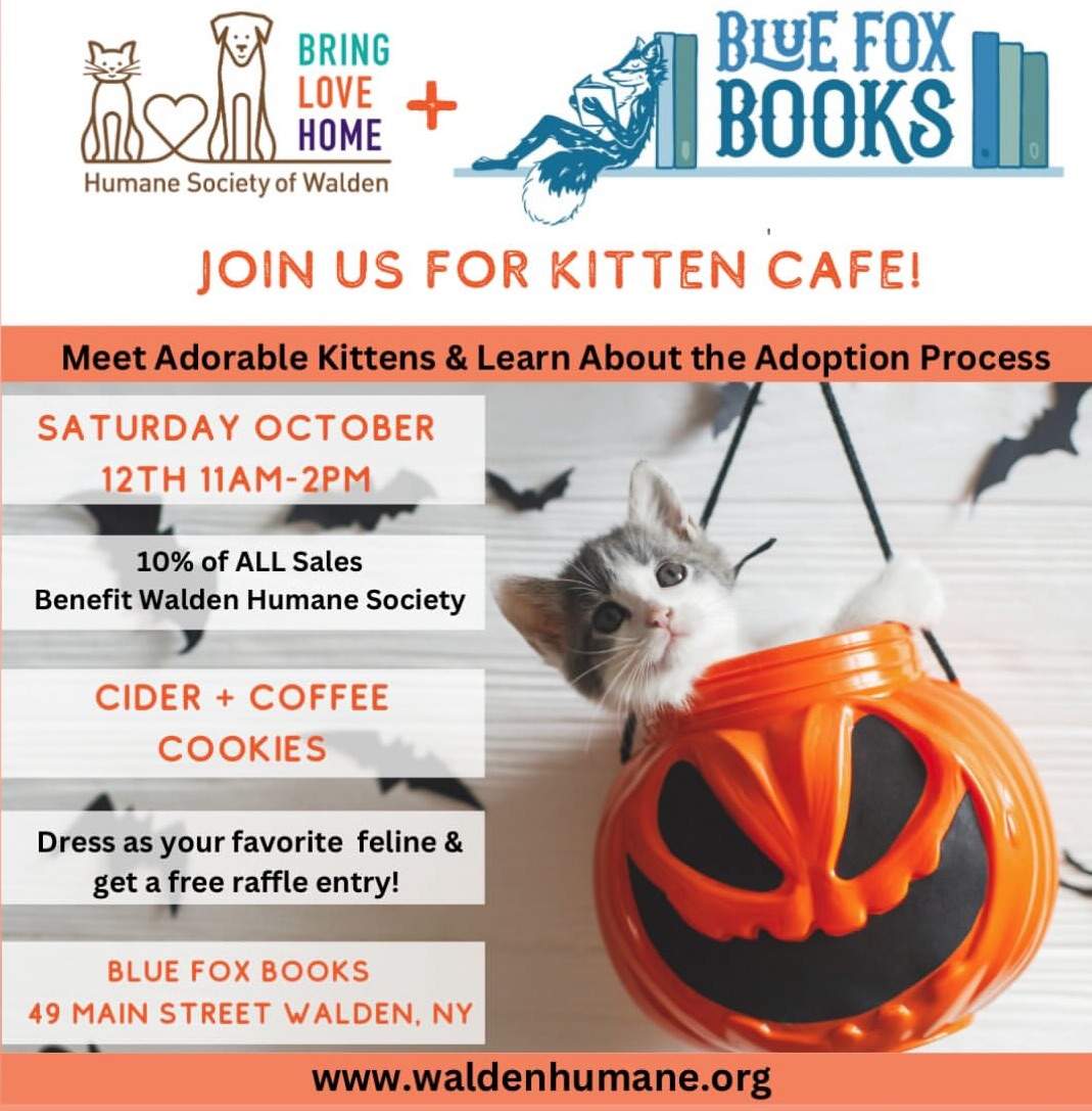 Kitten Cafe Pop-up @ Blue Fox Books