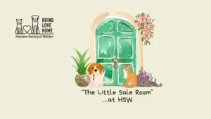 Shop the Little Sale Room at HSW! @ Humane Society of Walden