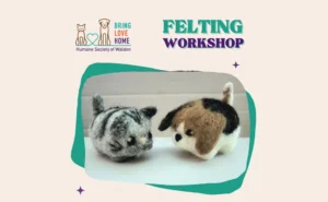 July Felting Workshop @ Humane Society of Walden
