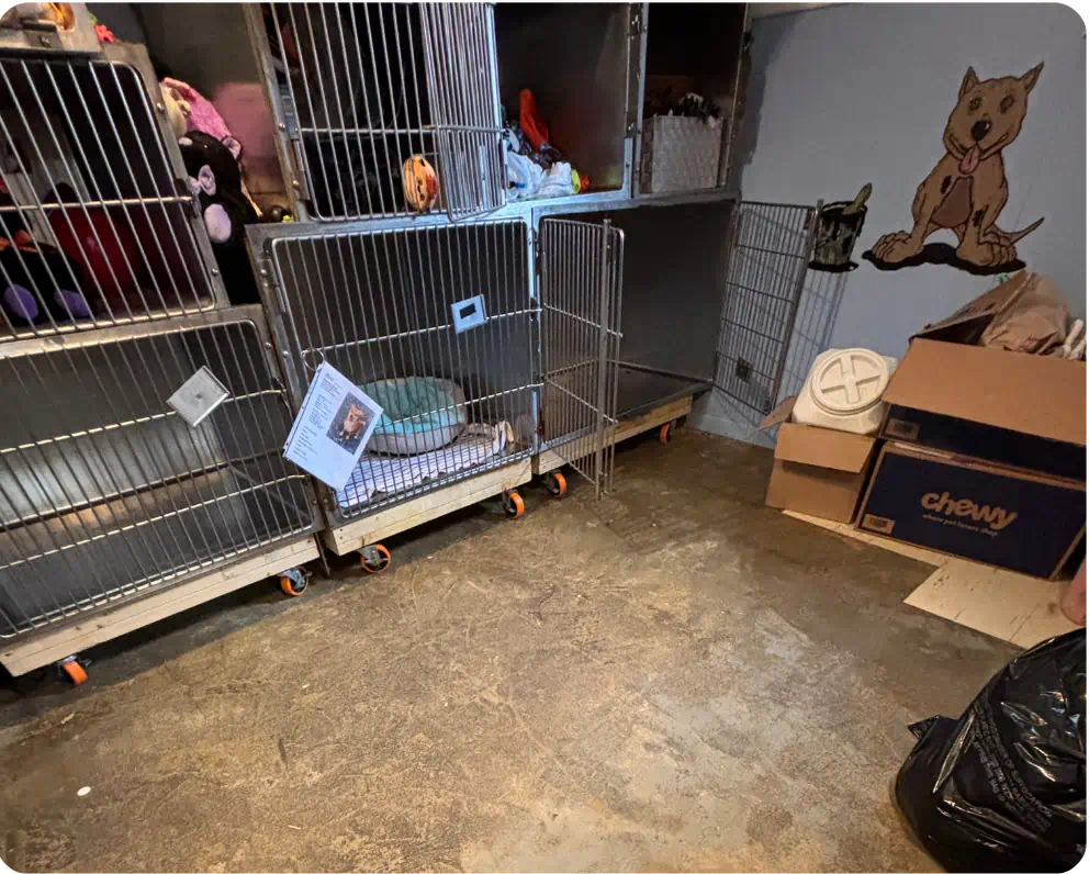 Small Dog Room is a space that houses any canines that are 30 pounds or less.