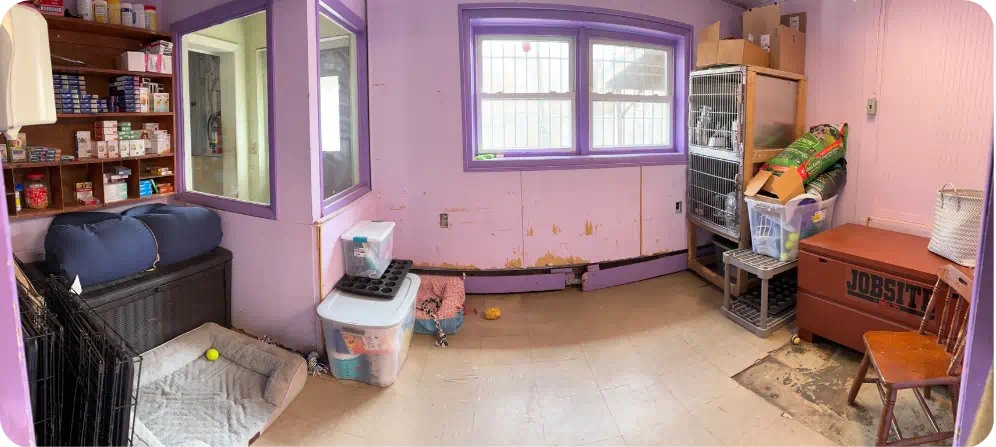 Small Dog Room is a space that houses any canines that are 30 pounds or less.
