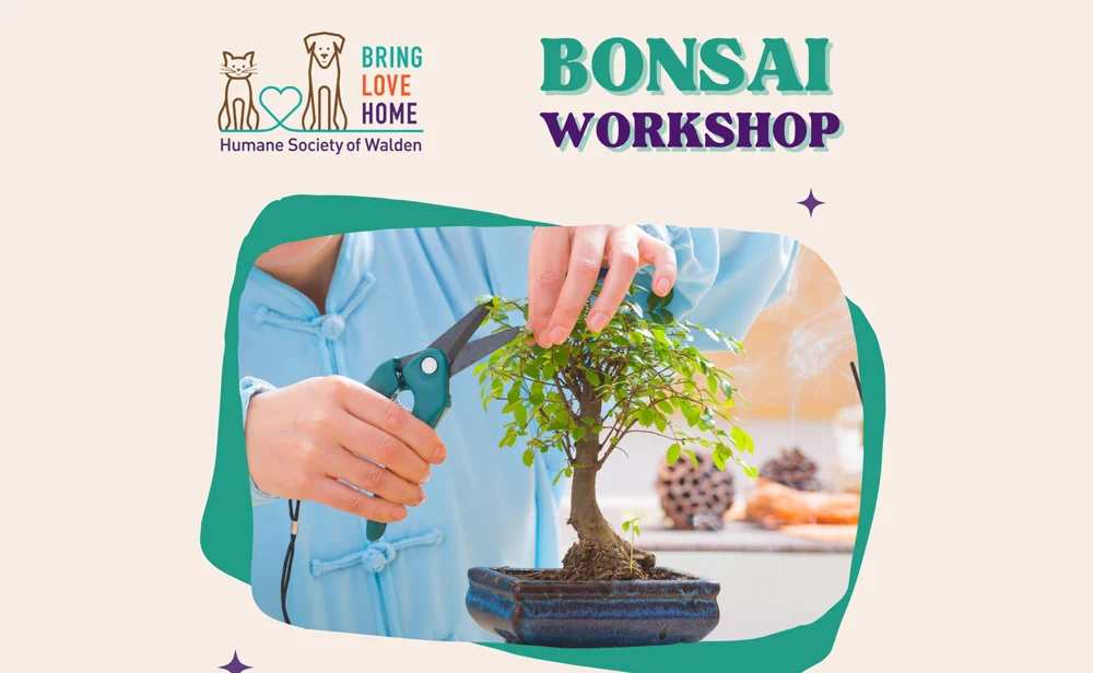 Bonsai Workshop Fundraiser