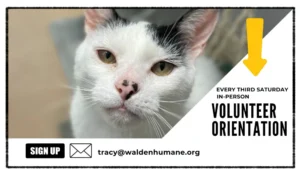 New Volunteer Orientation @ Humane Society of Walden