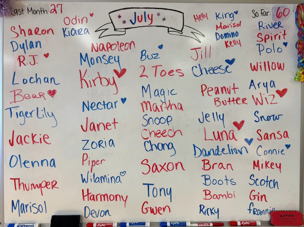 July 2025 HSW Adoption Board