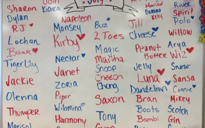 July 2025 HSW Adoption Board