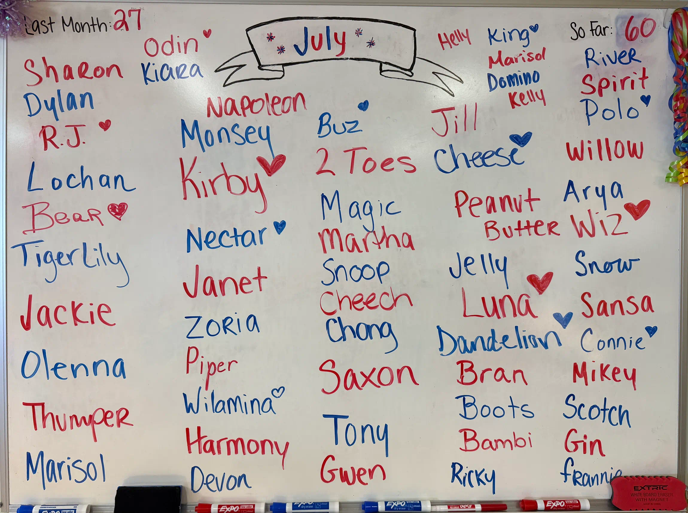 July 2025 Adoptions Reach Record High